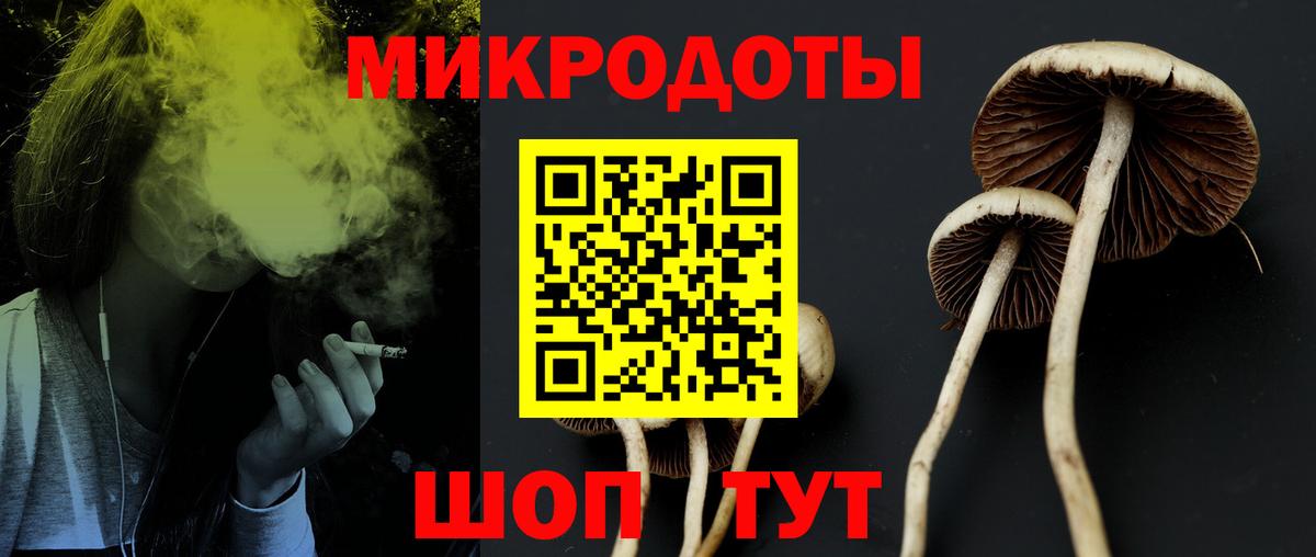 Галлюциногенные грибы MAGIC MUSHROOMS Алатырь