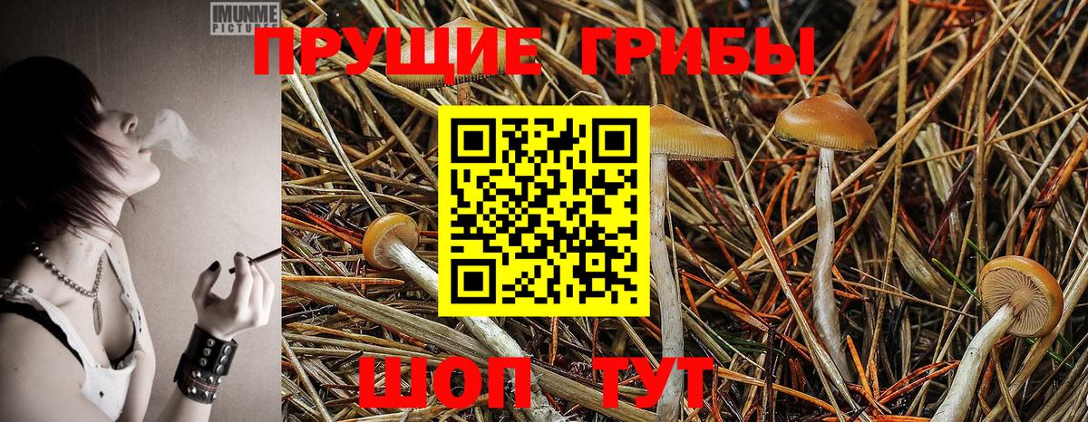 Псилоцибиновые грибы мухоморы  Вход с VPN  Алатырь  Псилоцибиновые грибы Psilocybine cubensis 